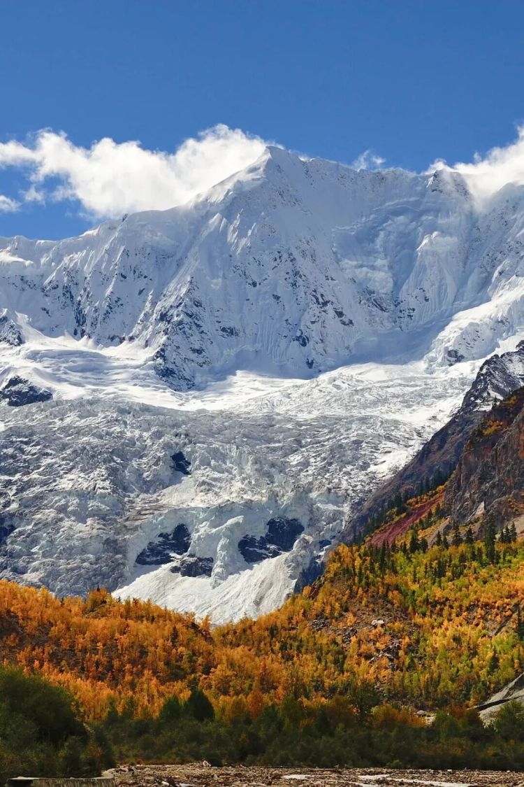 懂西藏的人，一定不會錯過林芝的秋天