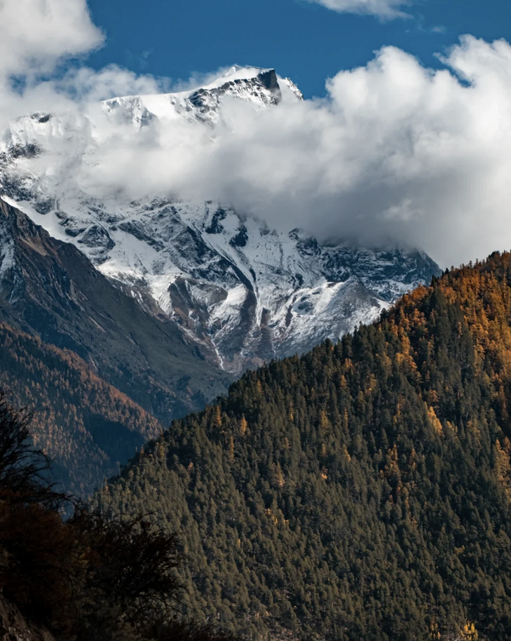 懂西藏的人，一定不會錯過林芝的秋天