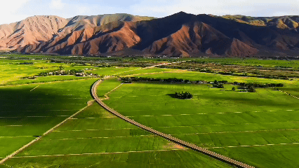 青稞“蛻變”，牦?！俺鋈Α?！看西藏農(nóng)牧民的“十四五”豐收答卷