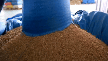 青稞“蛻變”，牦牛“出圈”！看西藏農(nóng)牧民的“十四五”豐收答卷