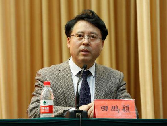 田鵬穎：投入其中、樂在其中、安身其中