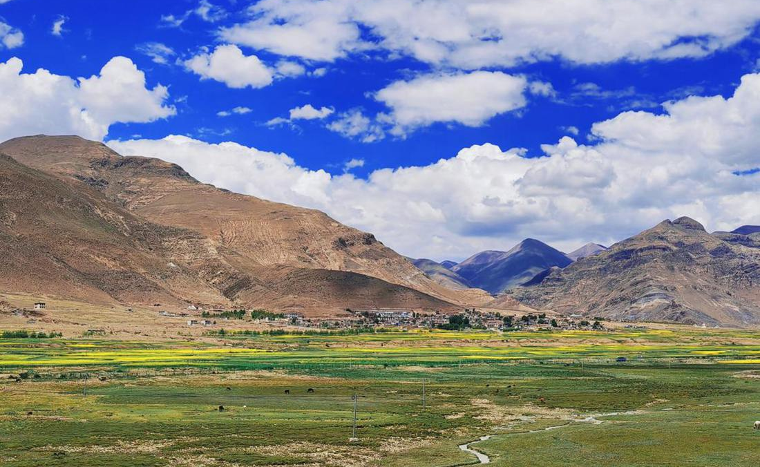 羌塘草原上的美好圖景。人民網(wǎng) 李海霞攝