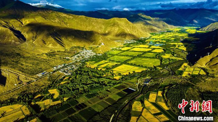 圖為山南雍布拉康附近農(nóng)田?！埼?攝