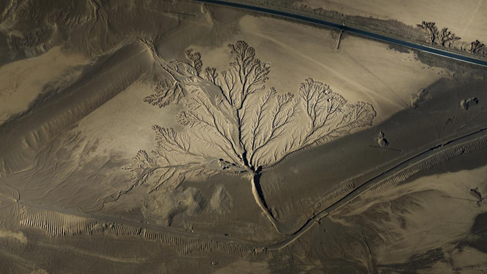 無人機視角下的西藏阿里地區(qū)改則縣“大地之樹”景觀。尼瑪多吉攝