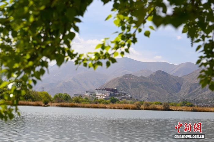 西藏:周末漫步拉魯濕地盡享生態(tài)美景