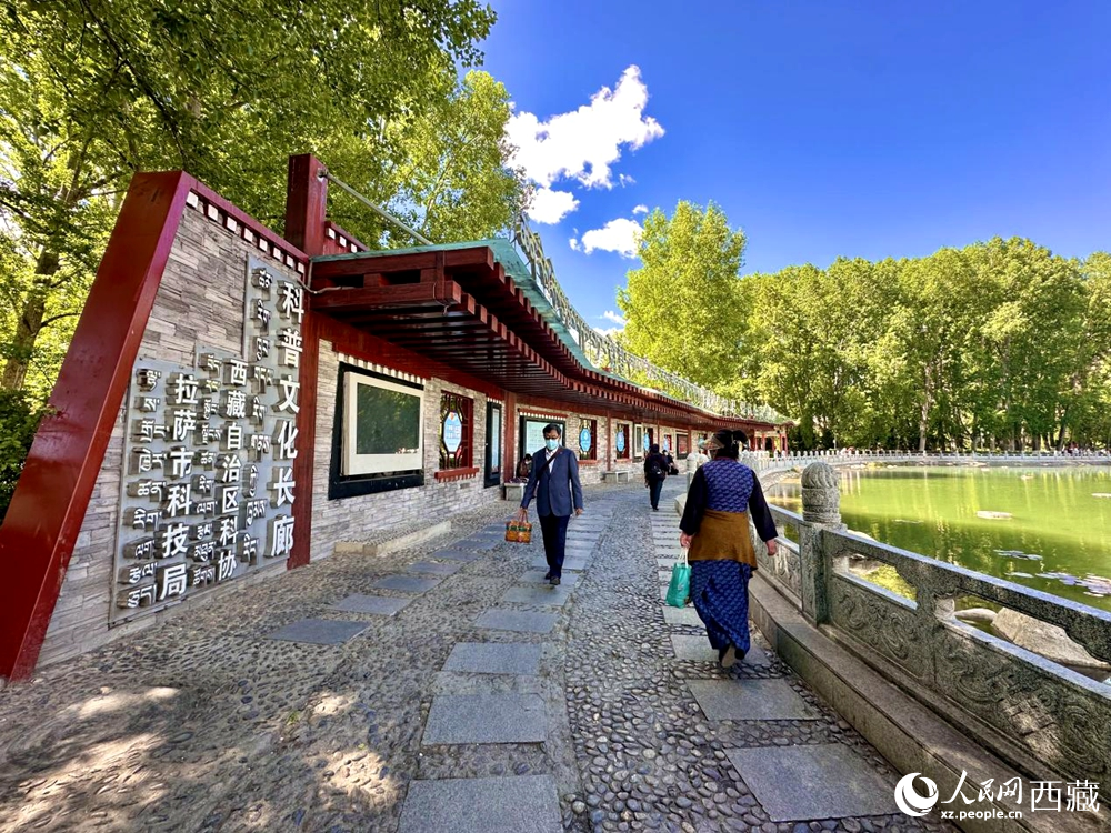 公園內(nèi)的科普文化長(zhǎng)廊。