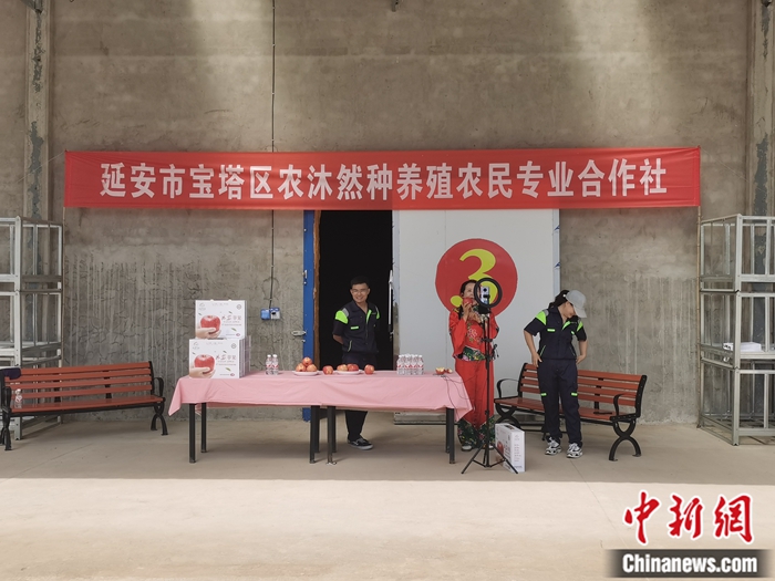 來源：柳林鎮(zhèn)果技園供圖。