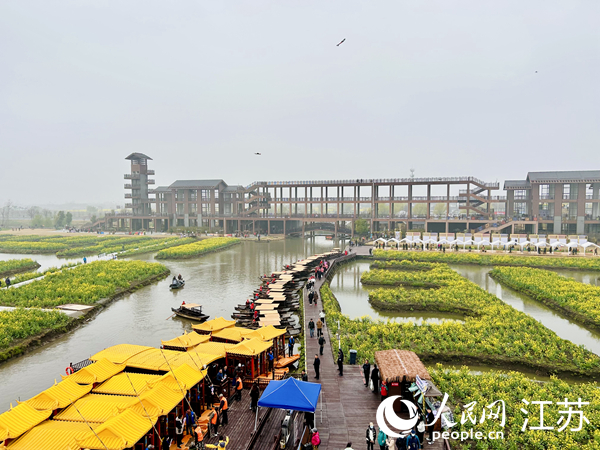 興化千垛菜花旅游節(jié)期間，游客前來(lái)打卡。人民網(wǎng) 王丹丹攝